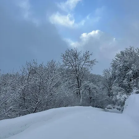 Maison Panorama Alpes Suisses & Sauna * Lens