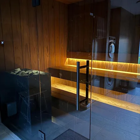 Maison Panorama Alpes Suisses & Sauna Tatil Evi *